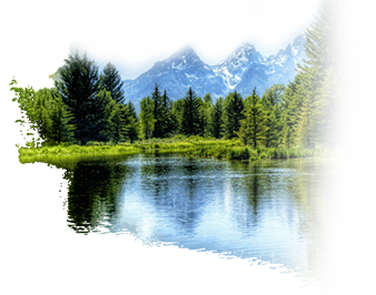 Вода карітас